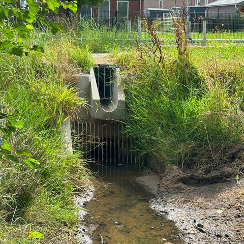 Wadiverbindingsgoot infiltreren voorbeeld van waterbodemsturend afwateren