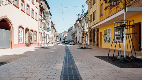 DRAINFIX CLEAN Rinnen in der Königsstraße in Landau